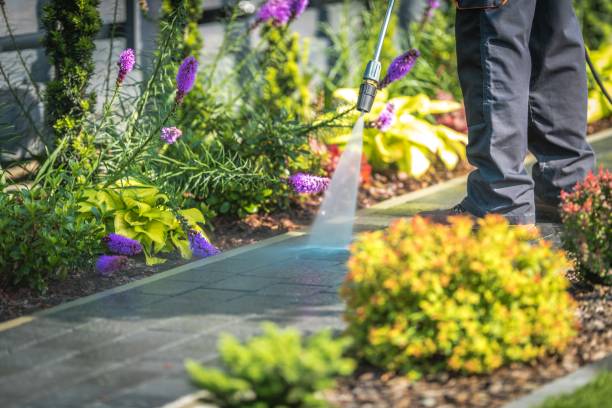 Best Fence Cleaning and Maintenance in Peshtigo, WI